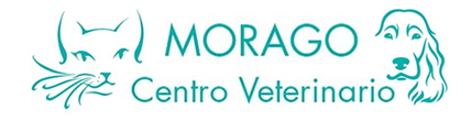 CENTRO VETERINARIO MORAGO